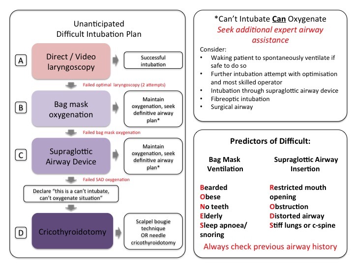 Intubation Checklist (back)